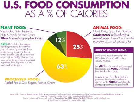 US Food Consumption